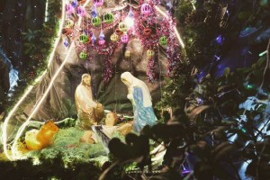 pexel nativity